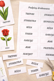 Moje pierwsze kwiaty – karty obrazkowe dla 2–4-latków