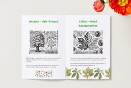 Kolorowanki. Zwierzęta. Rośliny. Grzyby. Sceny związane z ochroną przyrody.