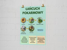 Plakaty edukacyjne. Łańcuch pokarmowy. Ekosystem. Bioróżnorodność. Zanieczyszczenie środowiska