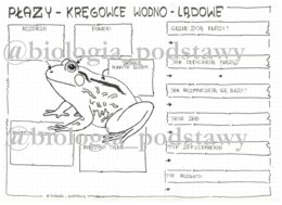 Klasa 6 - Płazy - karta pracy