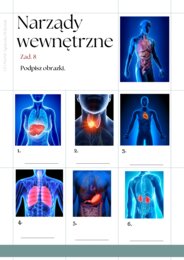 Części ciała workbook + kurs fiszkowy