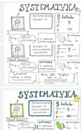 Systematyka - sketchnotka