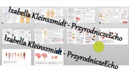 Zestaw sketchnotek – notatek do całego działu „Regulacja nerwowo-hormonalna” wykonanych w power point do edycji. Biologia 7