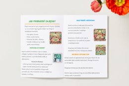 Przewodnik dydaktyczny. Plan lekcji. Ekologiczne prezenty. Pomysły na rękodzieło. Nauka planowania budżetu. Świadomość ekologiczna.