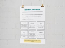 Infografiki edukacyjne. Zasady segregacji odpadów. Obieg wody w przyrodzie. Dlaczego pszczoły są ważne?