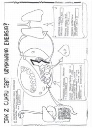 Jak z cukru powstaje energia - klasa 5
