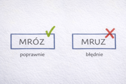 PISOWNIA WYRAZÓW Z "Ó" [Karta pracy, sprawdzian}
