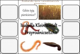 Notatka okienkowa/stacja zadaniowe/notatka interaktywna/notatka graficzna/karta pracy/sketchnotka „Pierścienice”, „Pierścienice-zwierzęta, które mają segmentowane ciało” w pdf. Biologia 5 , dział „Od parzydełkowców do pierścienic”. Materiał wykonany na p