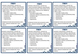TREN – treny - cechy – wklejka - liryka