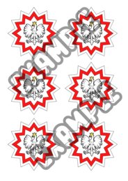 Kotylion biało-czerwony - gwiazdka