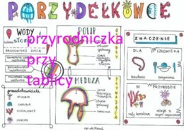 Klasa 6. Biologia. Parzydełkowce