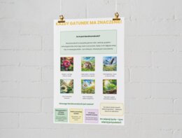 Plakaty. Ekologia i jej znaczenie. Ochrona przyrody, Różnorodność biologiczna, Zagrożone gatunki