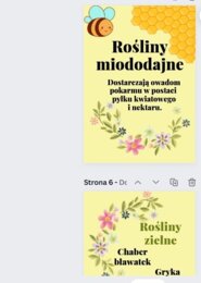 Światowy Dzień Pszczół