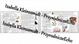 Sketchnotka - notatka „Miasta” wykonana w power point do edycji. Geografia 7; „Ludność i urbanizacja”