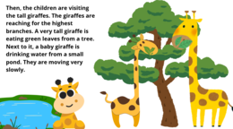 We're Going to the Zoo- reader