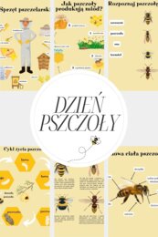 Dzień Pszczół - dekoracje, karty pracy i plansze edukacyjne. Pełen pakiet.