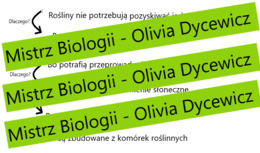 5x dlaczego - myślenie krytyczne - Fotosynteza