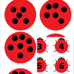 Matematyczne biedronki