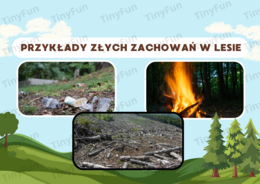 Prezentacja: Międzynarodowy Dzień Lasu – las, zwierzęta, warstwy lasu, edukacja przyrodnicza