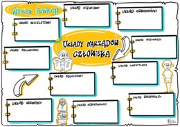 Klasa 7 Układy narządów człowieka