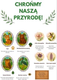 Ekologiczne plakaty edukacyjne. Chronione gatunki zwierząt/roślin, Obieg wody w przyrodzie, Segregacja śmieci, Cykl życia drzewa, Jak dbać o planetę