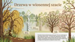 Kwiecień - gazetka/prezentacja/20 plansz