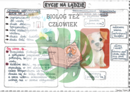 Życie na lądzie - kolor