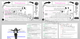 Kompletny zestaw na jedną lekcję „Moje pierwsze doświadczenie” – sketchnotka + karty pracy w power point + gratisowy link do prezentacji multimedialnej niekomercyjnej + gratisowy link do lekcji multimedialnej niekomercyjnej również wykonanej w genial.ly 