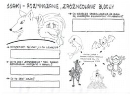 Ssaki - zróżnicowanie budowy ciała - klasa 6- KP