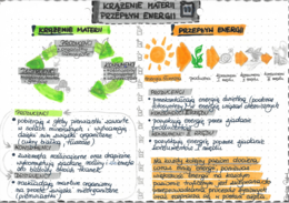 Krążenie materii i przepływ energii - EKOLOGIA - kolor
