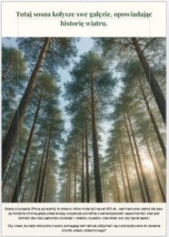 Plakaty edukacyjne. Cytaty. Przyroda.