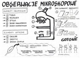 Obserwacje mikroskopowe - klasa 5 - sketchnotka