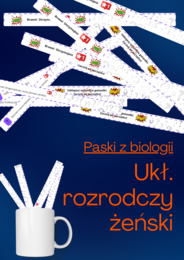 Paski z biologii - układ rozrodczy żeński – zadania do lekcji/paski z biologii układ rozrodczy żeński/ćwiczenia do lekcji powtórzeniowej na temat układu rozrodczego żeńskiego – angażująca gra do wykorzystania na lekcji biologii