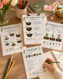 Od cebulki do kwiatu