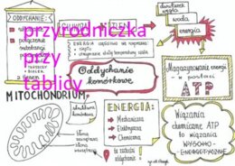 Klasa 7. Biologia. Oddychanie komórkowe