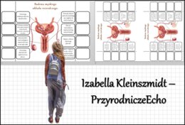 Notatka okienkowa „Budowa męskiego układu rozrodczego” w pdf. Biologia 7 dział „Rozmnażanie i rozwój człowieka”.