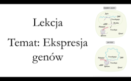 Klasa 3 ( podstawa) - Ekspresja genów - prezentacja