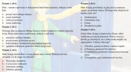 Test z lektury "Mały Książę"