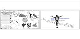 Karta pracy „Wyznaczanie kierunku północnego przy pomocy przyrody - zajęcia w terenie” + gratisowy link do lekcji multimedialnej (pomysłu na lekcję) niekomercyjnej wykonanej w genial.ly do indywidualnego pobrania i użycia do celów niekomercyjnych. Przyro