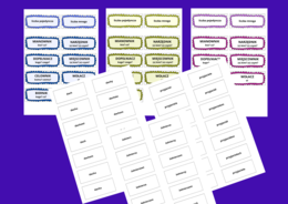 Odmiana rzeczownika przez PRZYPADKI - fiszki - 10 stron - kl. 4- 8