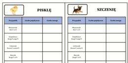102 rzeczownikI do odmiany przez przypadki – zestaw edukacyjny z obrazkami