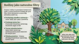 Edukacyjna Sieć Antysmogowa (ESA) – NASK, Czyste powietrze (gazetka szkolna / prezentacja)