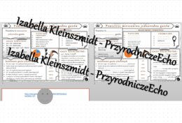 Minizestaw na temat „Powietrze, gazy szlachetne” – sketchnotka + karta pracy w power point + gratisowy link do prezentacji multimedialnej niekomercyjnej wykonanej w genial.ly do indywidualnego pobrania i użycia do celów niekomercyjnych. Chemia 7, „Gazy i