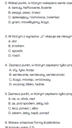 Egzamin ósmoklasisty - argumentacja 3, kartkówka, gramatyka, ortografia