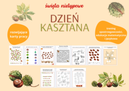 Dzień Kasztana - karty pracy na święta nietypowe