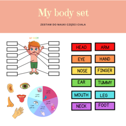 My body set - zestaw do nauki części ciała, organów oraz 5 zmysłów, CLIL