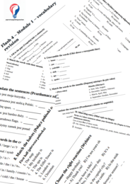 Flash 4 – Module 1 – vocabulary revision