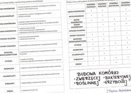 Budowa komórki zwierzęcej, roślinnej, bakteryjnej i grzybowej