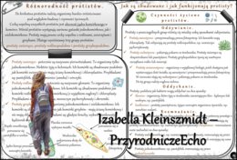 Zestaw sketchnotek/notatek/streszczeń/wklejek/ściąg dla ucznia i nauczyciela w pdf. Biologia 5 dział „Klasyfikacja i systematyka. Wirusy. Bakterie. Prostisty. Grzyby.”. Notatki zostały wykonane na podstawie podręcznika z wydawnictwa WSiP.