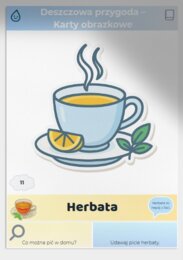 Karty obrazkowe "Deszczowa przygoda"